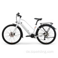 LZIP ELEKTRISCHE BIKE LC02